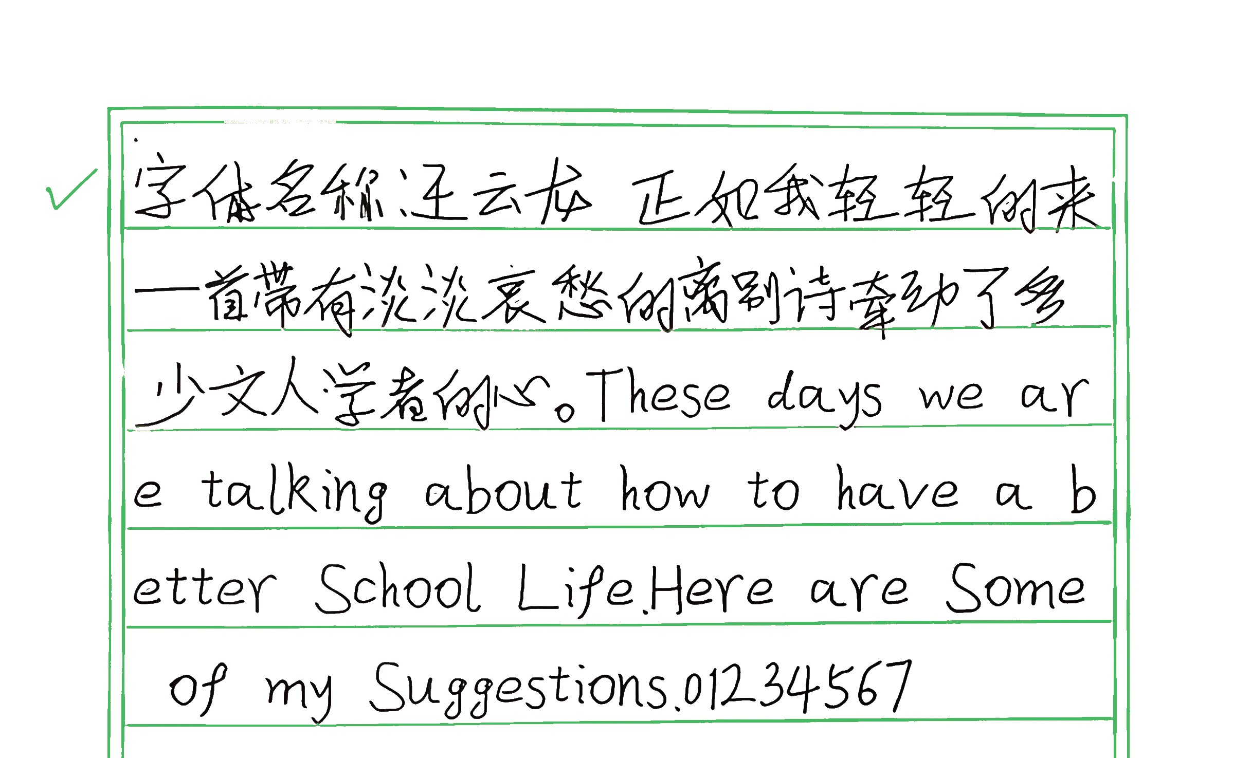 279_王云龙 手写样张